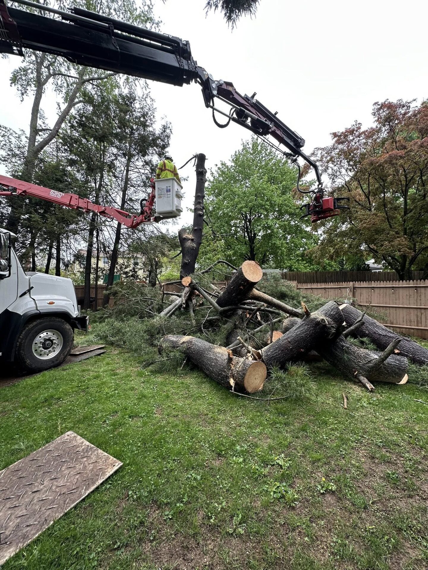 USA Tree Services crew using a crane and bucket truck to remove large pine trees from a residential backyard in Berlin, CT